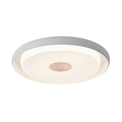 Лампа потолочная Xiaomi Huizuo Pisces Star Ceiling Light 24W White 53 см