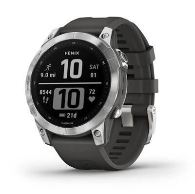 Часы Garmin Fenix 7 Silver 010-02540-01