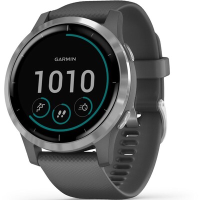 Часы Garmin Vivoactive 4 Wi-Fi NFC Silver 010-02174-04