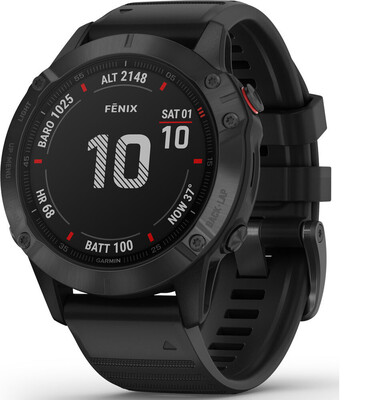 Часы Garmin Fenix 6 Pro Black 010-02158-02