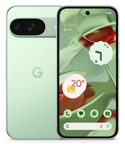 Смартфон Google Pixel 9 12/256Gb Green US