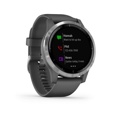 Часы Garmin Vivoactive 4 Wi-Fi NFC Silver 010-02174-04 фото 5