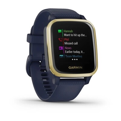 Часы Garmin Venu Sq Music Edition Navy/Light Gold 010-02426-12