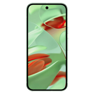 Смартфон Google Pixel 9 12/256Gb Green US