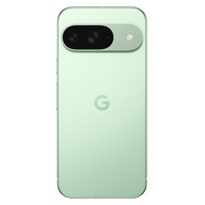 Смартфон Google Pixel 9 12/256Gb Green US