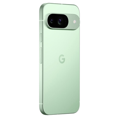 Смартфон Google Pixel 9 12/256Gb Green US